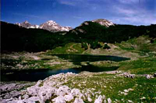 Lago Vivo