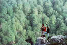 Camping La Genziana Camping La Genziana